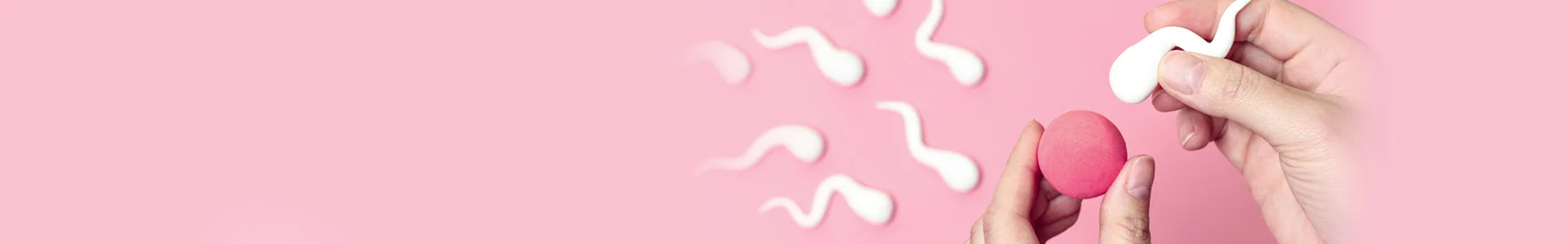 Inseminação artificial (IA)