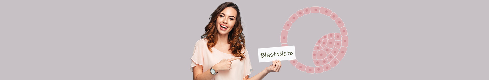 Blastocisto: o que é e qual sua importância para a FIV?