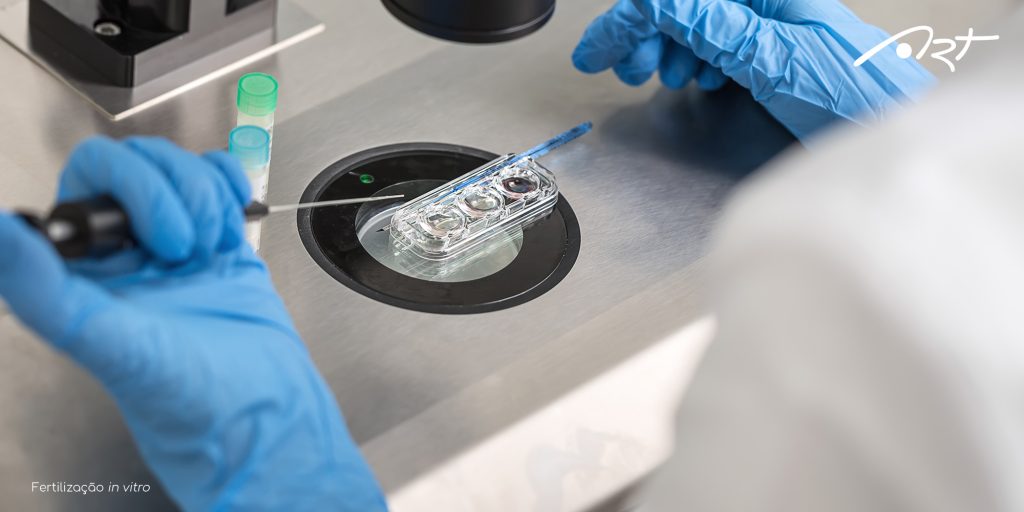 Zigoto e embrião: diferenças Art Medicina Reprodutiva