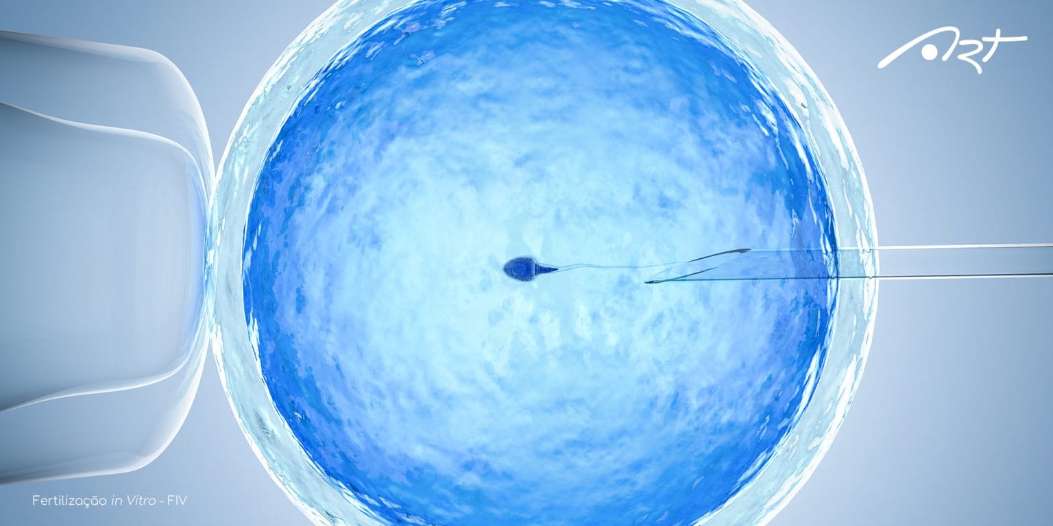 Embrião euploide e aneuploide: o que é? - Art Medicina Reprodutiva